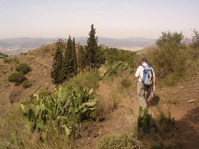 Barcelona Skyline - Guided nature tour