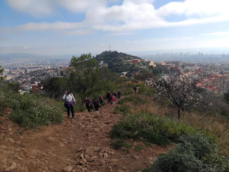 Barcelona Skyline - Hiking group exploring