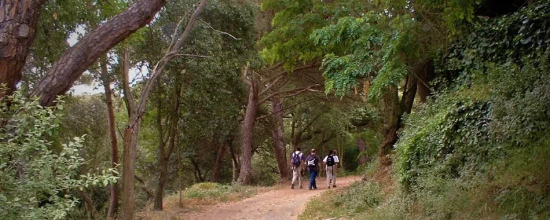 Barcelona Skyline - Guided nature tour