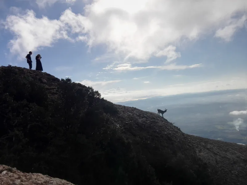 Montserrat Monastery and Mountain Hike - Hiking group exploring